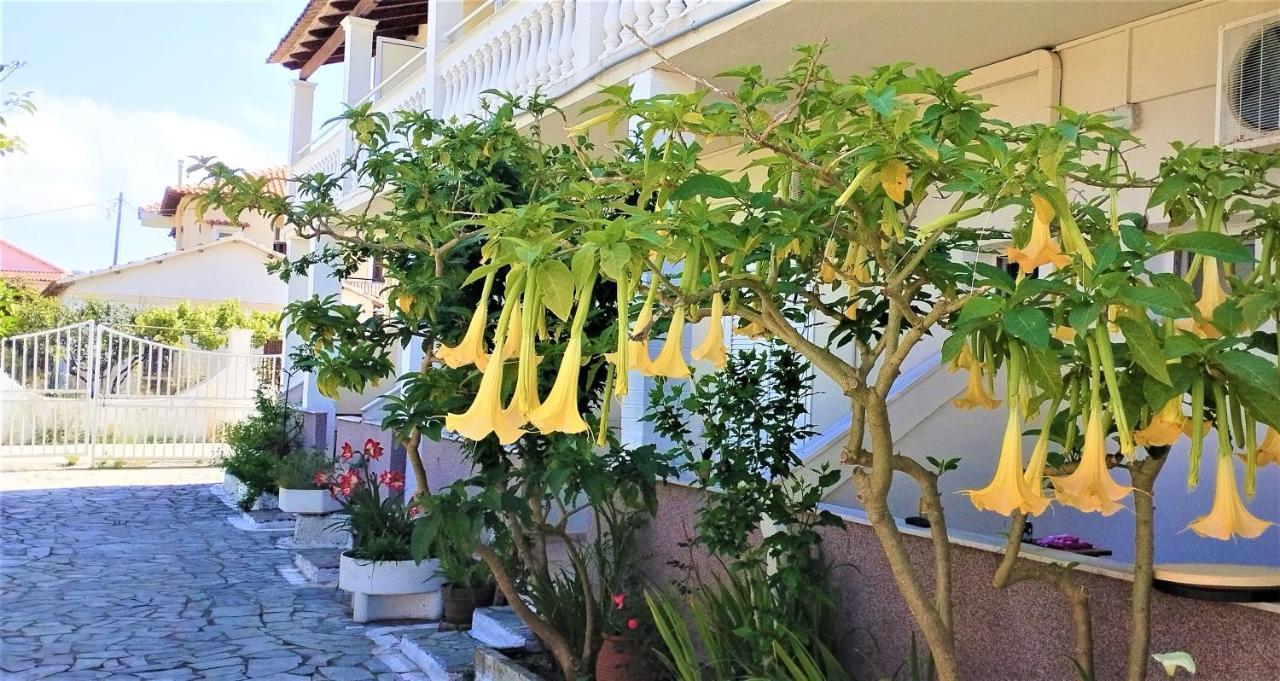 Eleni Apartments Sant George Beach Ájosz Jeórjosz Kültér fotó